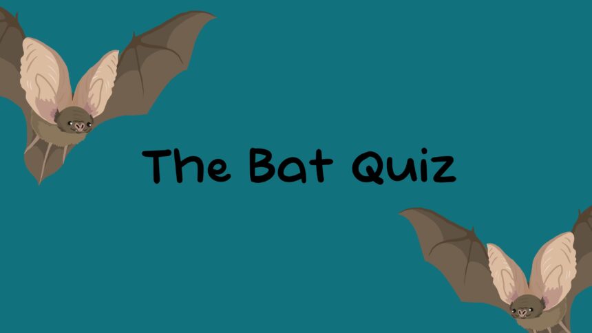 The Bat Quiz - Walkthrough | Trophy Guide | Achievement Guide