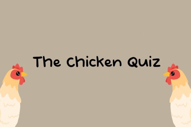 The Chicken Quiz - Walkthrough | Trophy Guide | Achievement Guide