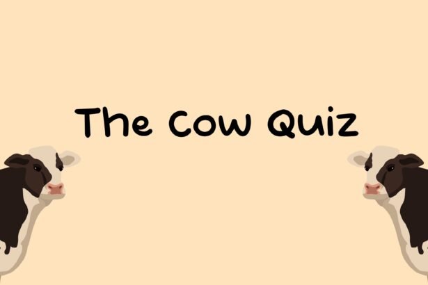 The Cow Quiz - Walkthrough | Trophy Guide | Achievement Guide