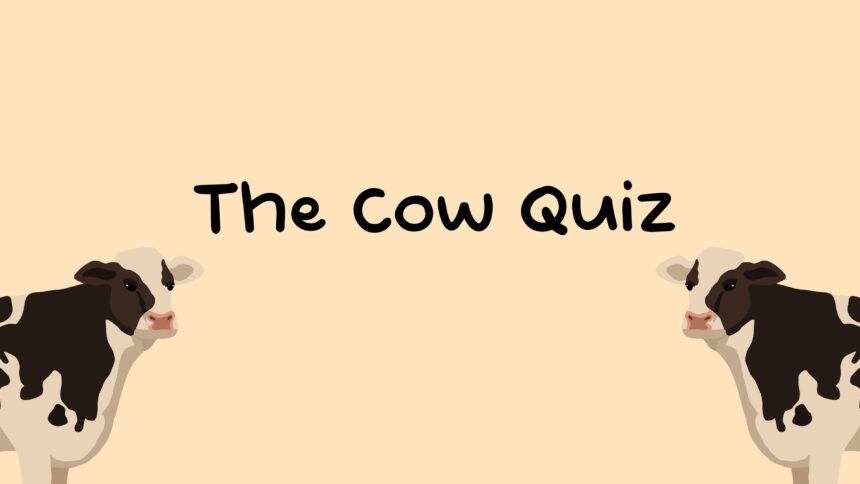 The Cow Quiz - Walkthrough | Trophy Guide | Achievement Guide