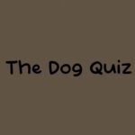 The Dog Quiz - Walkthrough | Trophy Guide | Achievement Guide