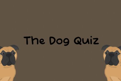 The Dog Quiz - Walkthrough | Trophy Guide | Achievement Guide