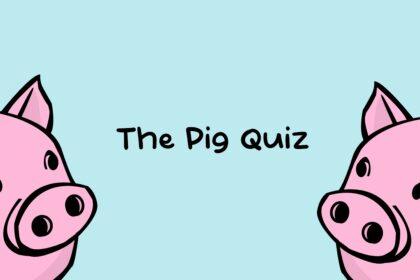 The Pig Quiz - Walkthrough | Trophy Guide | Achievement Guide