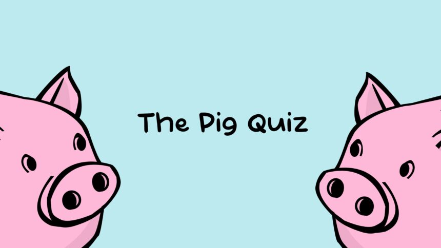 The Pig Quiz - Walkthrough | Trophy Guide | Achievement Guide