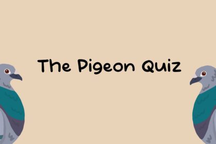 The Pigeon Quiz - Walkthrough | Trophy Guide | Achievement Guide