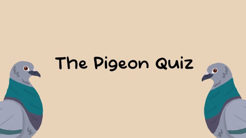 The Pigeon Quiz - Walkthrough | Trophy Guide | Achievement Guide