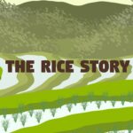 The Rice Story - Walkthrough | Trophy Guide | Achievement Guide