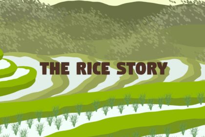The Rice Story - Walkthrough | Trophy Guide | Achievement Guide