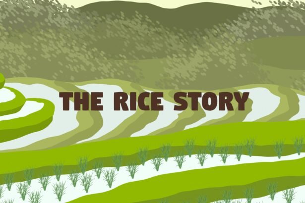 The Rice Story - Walkthrough | Trophy Guide | Achievement Guide