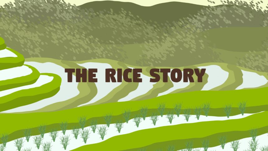The Rice Story - Walkthrough | Trophy Guide | Achievement Guide