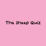 The Sheep Quiz - Walkthrough | Trophy Guide | Achievement Guide