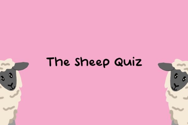 The Sheep Quiz - Walkthrough | Trophy Guide | Achievement Guide