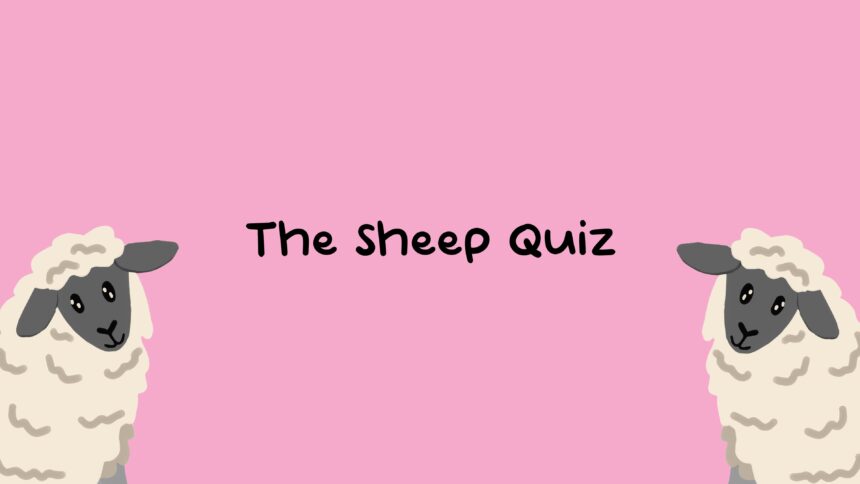 The Sheep Quiz - Walkthrough | Trophy Guide | Achievement Guide