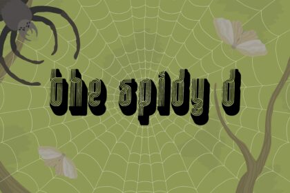 The Spidy D - Walkthrough | Trophy Guide | Achievement Guide