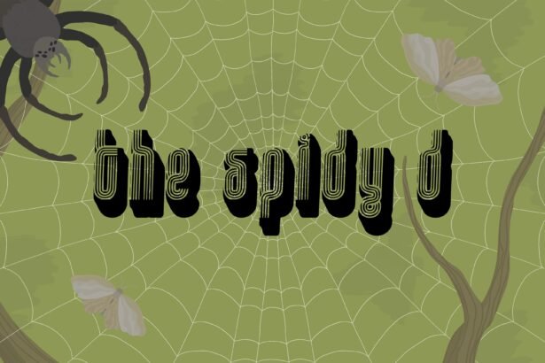 The Spidy D - Walkthrough | Trophy Guide | Achievement Guide