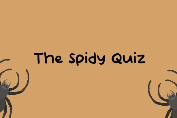 The Spidy Quiz - Walkthrough | Trophy Guide | Achievement Guide