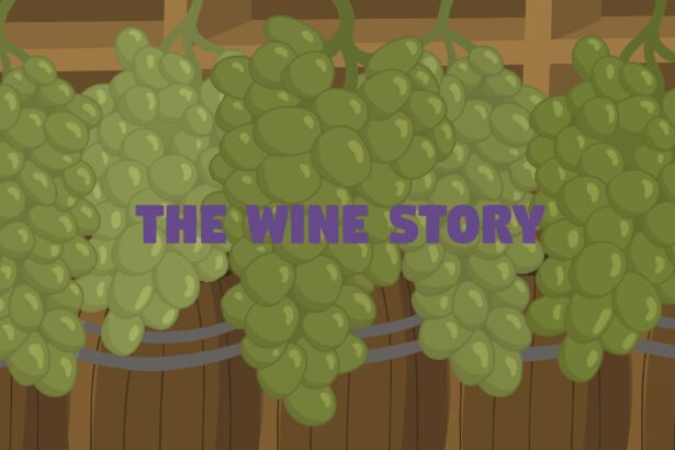 The Wine Story - Walkthrough | Trophy Guide | Achievement Guide