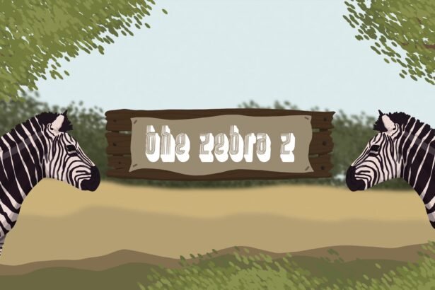 The Zebra Z - Walkthrough | Trophy Guide | Achievement Guide