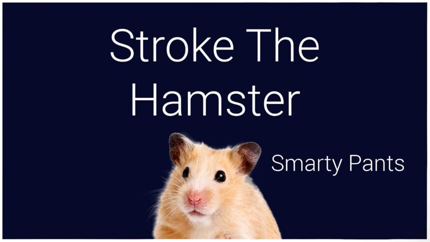 Stroke The Hamster - Smarty Pants – Walkthrough | Trophy Guide | Achievement Guide 17 Quiz copy3