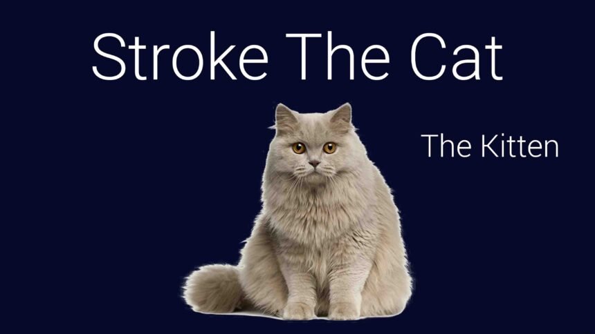 Stroke The Cat copy